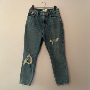 Abercrombie & Fitch High Rise Mom Jeans Curve Love Straight Women's size 6 / 28